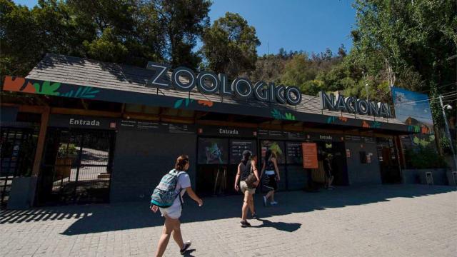 Zoológico del Parque Metropolitano de Santiago: una actividad familiar imperdible